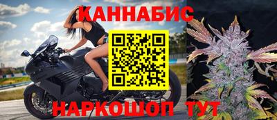 молекула духа Шебекино