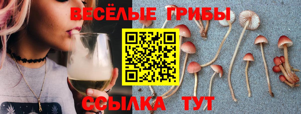 Галлюциногенные грибы Cubensis Верхняя Пышма