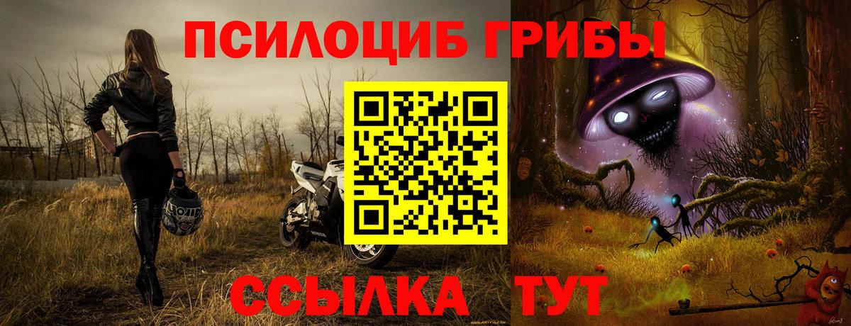 Верхняя Пышма  Галлюциногенные грибы Psilocybine cubensis  Вход с VPN 